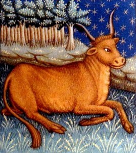 Taurus